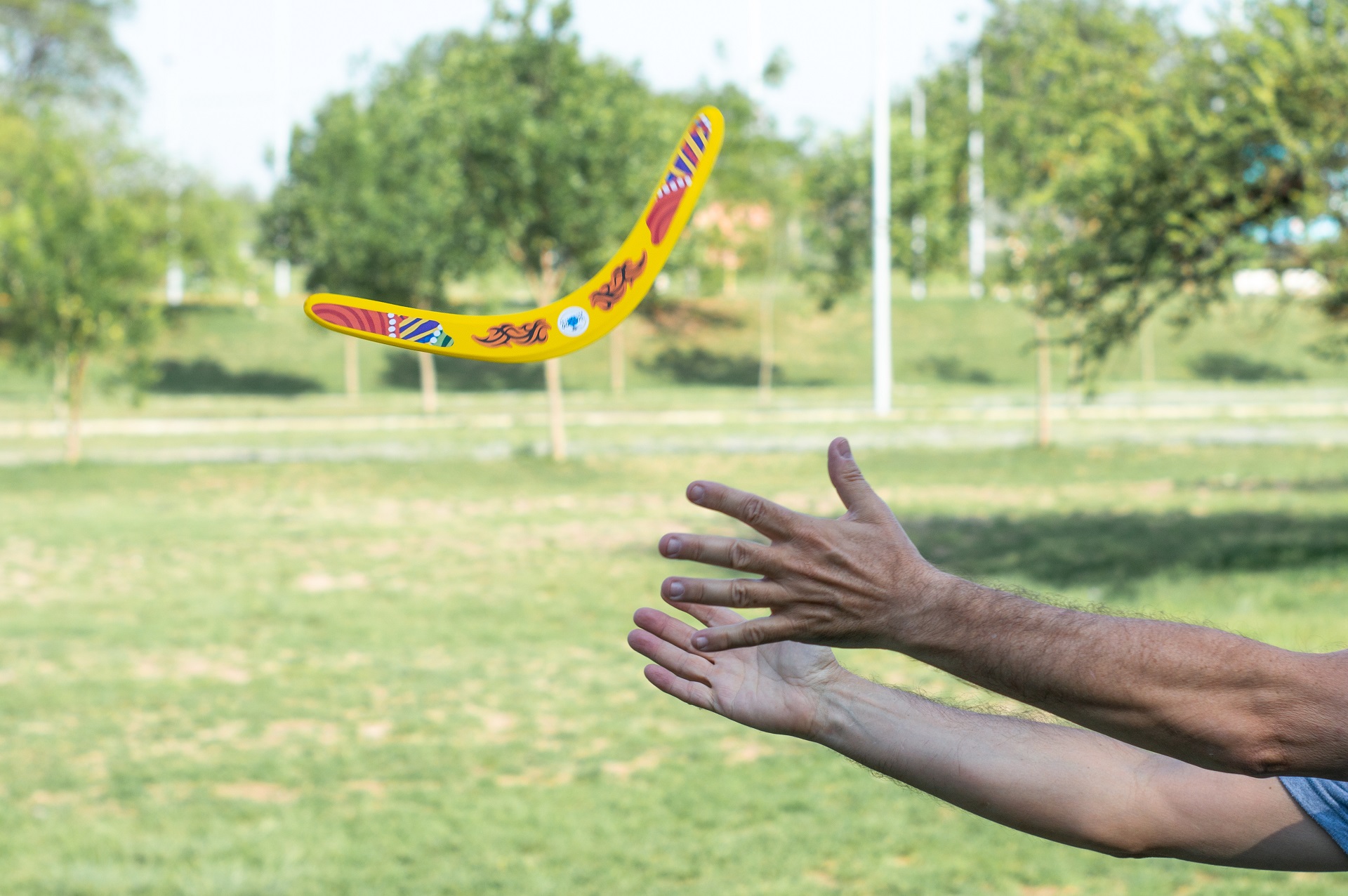 Boomerang Aboriginal - Imagen 3